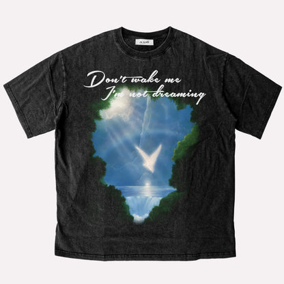 Untold Washed Angel Falls Heavy T-Shirt